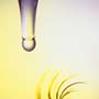 Continuous Fight against Polio